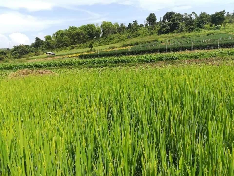Hotel Shwe Nann Htike Pyin Oo Lwin Eksteriør bilde