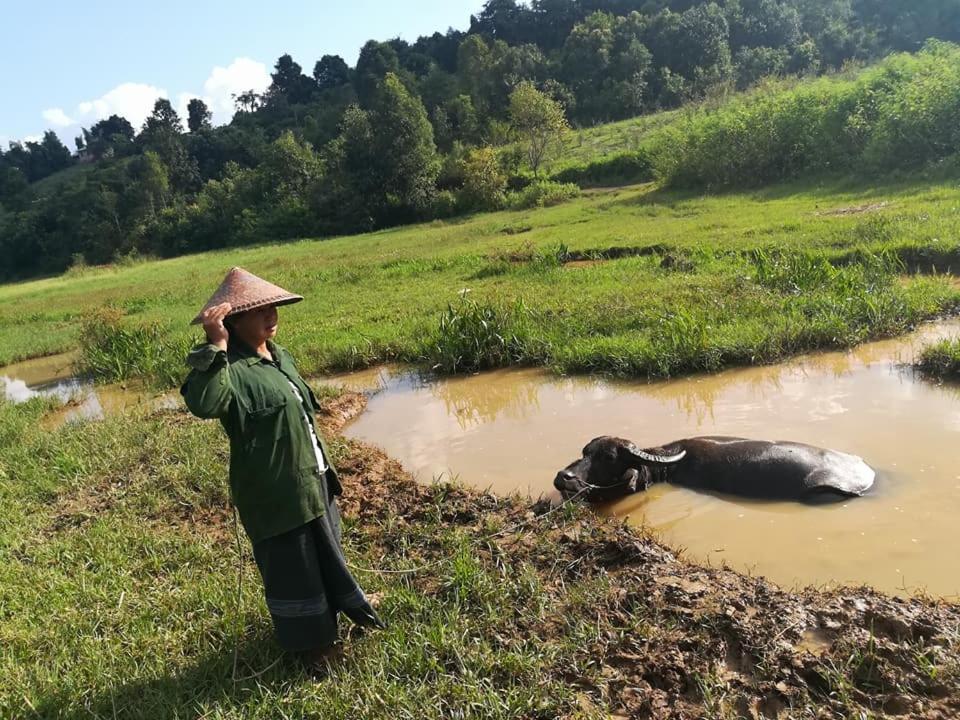 Hotel Shwe Nann Htike Pyin Oo Lwin Eksteriør bilde