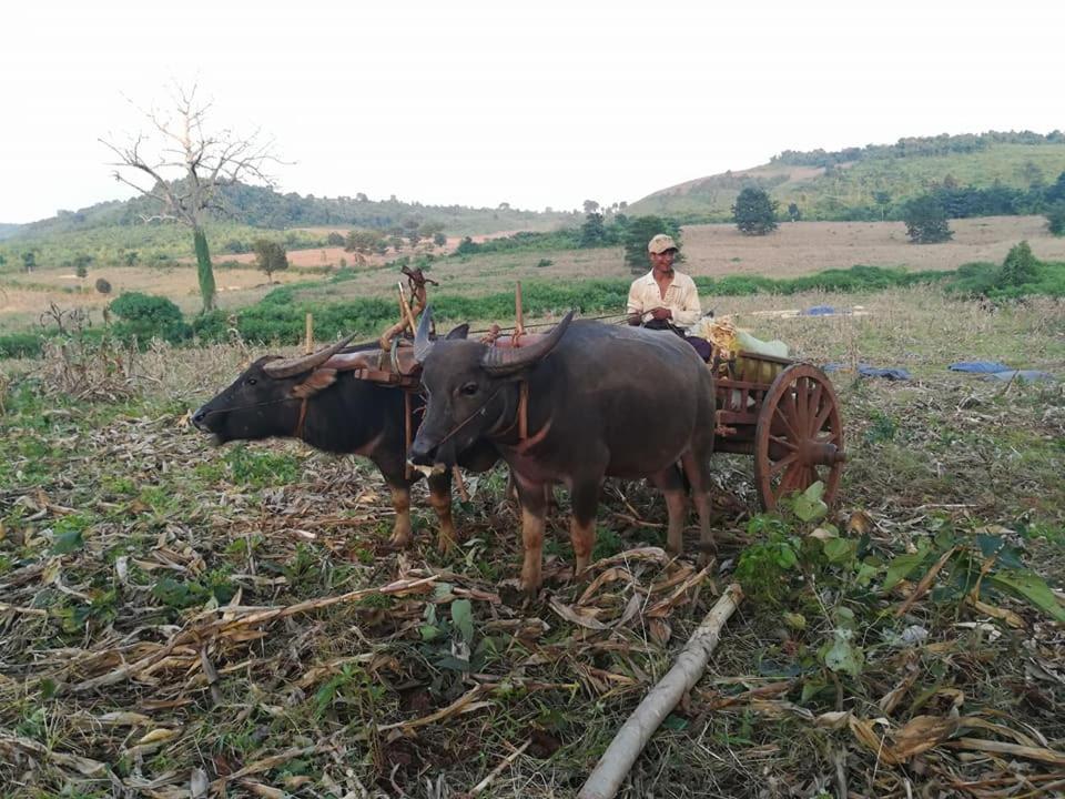 Hotel Shwe Nann Htike Pyin Oo Lwin Eksteriør bilde